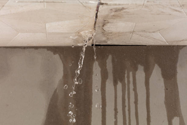 Professional Flood Damage Cleanup technician working in Springdale, MD